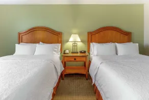 Hampton Inn Okeechobee - Lake Okeechobee - Chambre