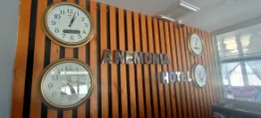 Anemonia Hotel - Reception