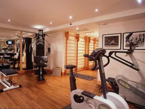 Mercure Tour Eiffel Grenelle - Treningsfasiliteter