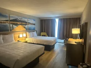 Days Hotel by Wyndham Williamsburg I-64 - Room
