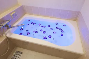 Hotel Park Inn (Adult Only) - Bagno