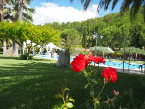 Agriturismo Il Drago - Pool