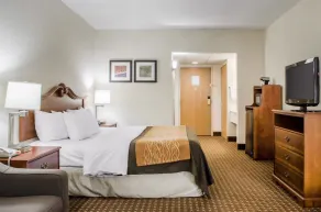 Comfort Inn West Hazleton - Chambre