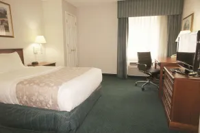 La Quinta Inn by Wyndham Detroit Canton - Chambre