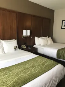 Comfort Inn Ellsworth - Bar Harbor - Chambre