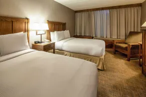 DoubleTree by Hilton Libertyville - Mundelein - Habitación