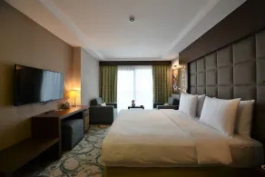 Radisson Blu Hotel, Ordu - Habitación