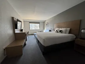 Comfort Inn & Suites Denver West - Golden - Rom