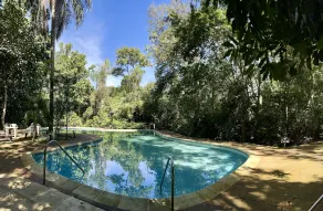 Rainforest Hotel & Cabañas - Pool