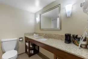 Comfort Inn Conference Center - Salle de bain