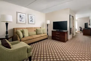 Chicago Marriott Naperville - Chambre