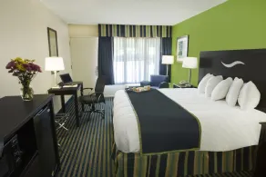 Days Inn by Wyndham Richmond Hill/Savannah - Chambre