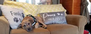 Beachside Boutique Inn – Folly Beach Rooms & Private Cottages - Réception