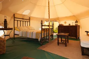 Wild Lotus Glamping - Room
