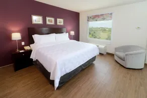 Holiday Inn Reynosa Industrial Poniente by IHG - Chambre