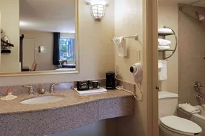 Days Inn Memphis at Graceland - Baño