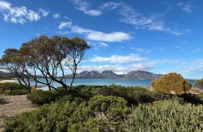 Edge of the Bay - Vue de la chambre