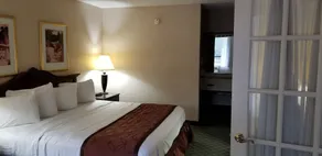 Clarion Inn & Suites Florence - Darlington - Rum