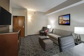 Drury Plaza Hotel Cincinnati Florence - Chambre