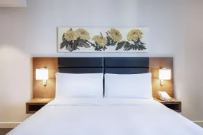 Hilton Garden Inn Tbilisi Chavchavadze - Room