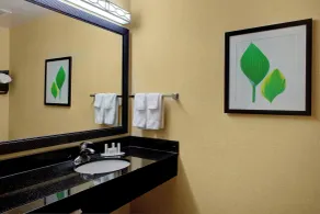 Fairfield Inn and Suites by Marriott Montgomery EastChase - Salle de bain