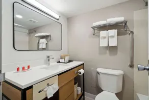 Econo Lodge Inn & Suites Waterloo Downtown - Salle de bain