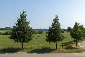 Sunday Resort Rügen - View from room
