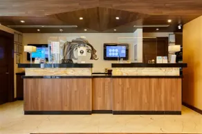 Dedeman Park Gaziantep Oteli - Recepción