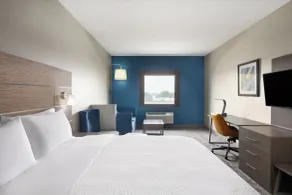 Holiday Inn Express & Suites Boynton Beach by IHG - Chambre