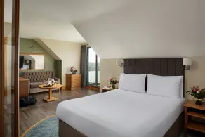Springfield Hotel - Room