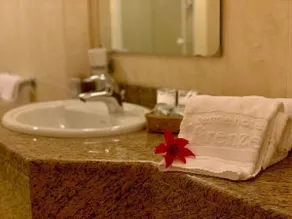 Hotel Firenze - Badrum