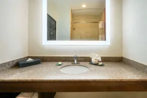 La Quinta by Wyndham Longview North - Salle de bain