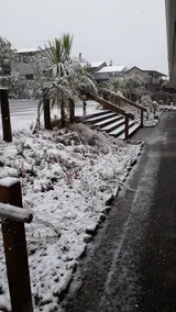 Hotel Lake Brunner - Vue de la chambre