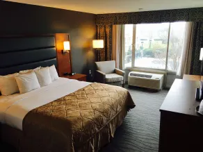 Wyndham Garden Greensboro - Chambre