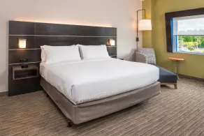 Holiday Inn Express & Suites - Tampa North - Wesley Chapel by IHG - Chambre