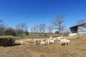 Ozarks Retreat: Working Farm, Fishing & Kayaking! - Interiør