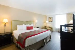 Plaza Hotel Fort Lauderdale - Chambre