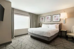Hilton Garden Inn Springfield - Vue de la chambre