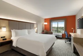 Holiday Inn Express Hotel & Suites Mount Pleasant - Charleston by IHG - Værelse