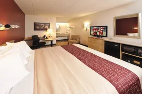 Red Roof Inn Chicago - Joliet - Chambre