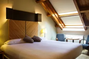 Silken Ordesa - Room