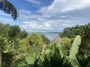 Dolphin Bay Hideaway - Vue de la chambre