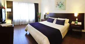 Dazzler by Wyndham Buenos Aires San Martin - Værelse