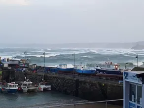 The Harbour - Miscelánea
