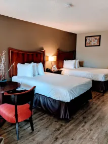 Econo Lodge Gainesville Downtown Area - Chambre