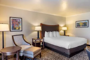 Best Western Plus Royal Oak Hotel - Chambre