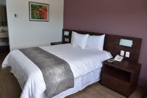 Lithio Hotel - Chambre