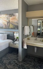 DoubleTree by Hilton Hotel Denver - Room