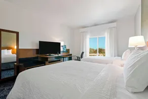 Fairfield Inn & Suites by Marriott St Petersburg North - Chambre