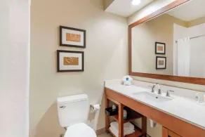 Comfort Inn Summerville - Charleston - Chambre